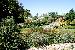 Arboretum 1
