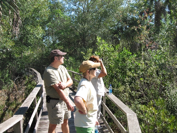 Looking for the Peleated Woodpecker