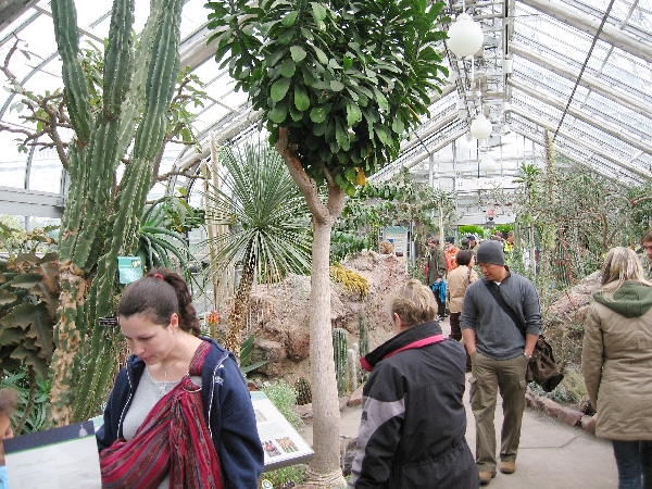 Botanical Gardens 1
