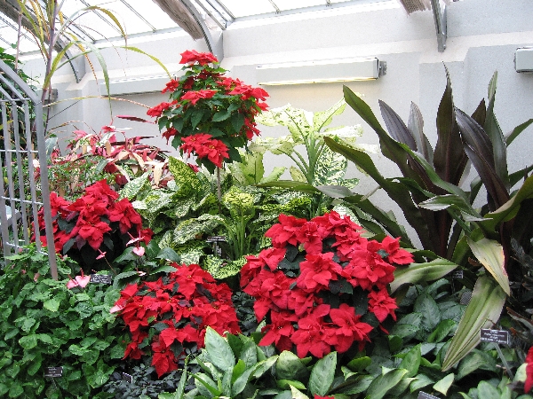 Botanical Gardens 6