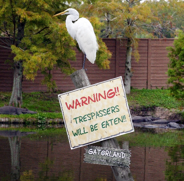 Ominous Warning