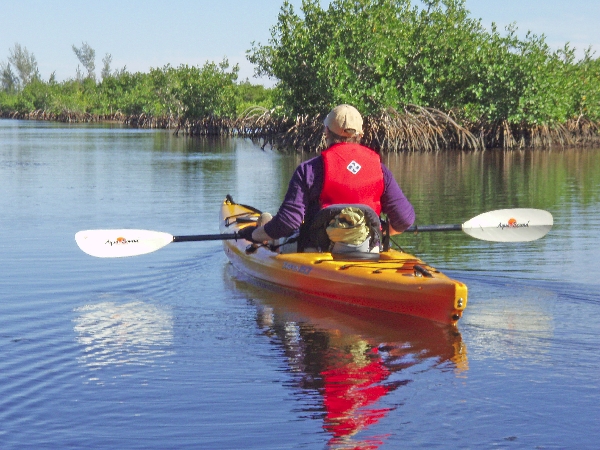 Paddling in the Nature Preserve