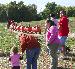 Checking out the Pumpkin Racers