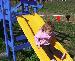 The Yellow Slide