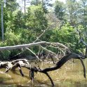 20130622_1222_Deadwood