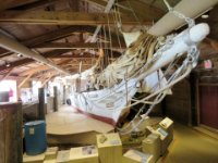 20160722 123757 Oyster catching exhibit