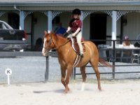 20160723 105108 Coming around