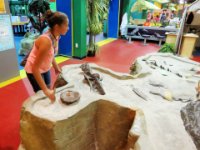 20160804 132829 Digging dinosaur fossils