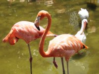 20160805 131420 Stilt walkers