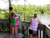 20160805 132808 Observing wildlife
