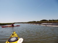 20160827 125542 Clam Aquaculture