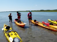 20160827 134139 Rest stop on the mud flat