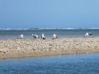 20160827 140615 Flooded beach