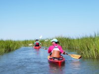 20160827 153019 Paddling the river in the grass