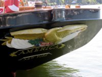 20160906 105239 America Stern Insignia