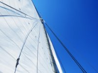 20160906 140446 Taking Wind
