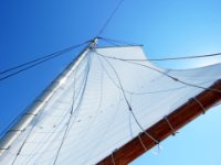 20160906 145104 Billowing in the wind