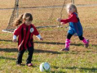 20161105 100739 Julia runs for the ball