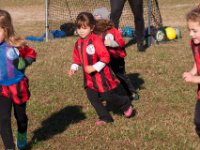 20161105 101752 On the run