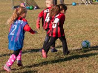 20161105 102455 Going after the ball