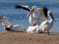20161127 121216 Landing on the sandbar