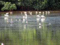 20170325 103320 Water ripples create modern art