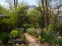 20170415 125420 Jim and Carol's Garden
