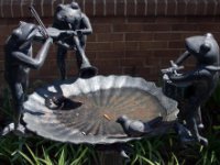 20170415 125636 Frog Band