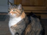 20170415 160623 Rosie behind the glass door