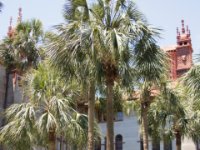 20170507 134440 Lightner Museum