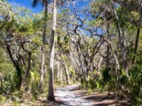 20170509 112932 Walking back on the nature trail