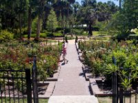 20170509 114316 Rose Garden