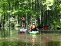20170601 120942 Back in the swamp