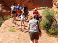20170615 124721 Climbing up higher