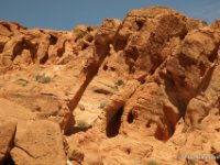 20170615 143707 Elephant Arch