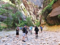 20170616 115842 Reaching the Narrows