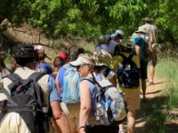 20170616 133358 Hiking to Zion Lodge