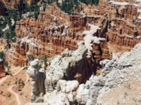 20170617 163301 The Alligator at Bryce Point