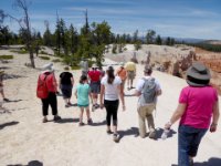 20170617 171629 Walking to Sunset Point