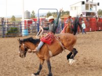 20170617 191120 Bucking Broncos