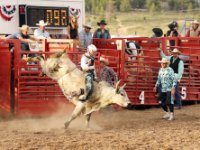 20170617 195737 Bull Riders