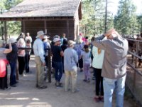 20170618 090530 Bryce Canyon Stables