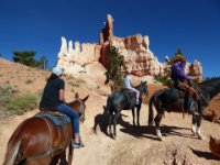 20170618 113551 Austin halts the horses near a rock formation