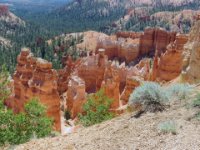 20170618 133952 More Hoodoos 3