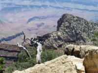 20170620 145556 River Rapids Below